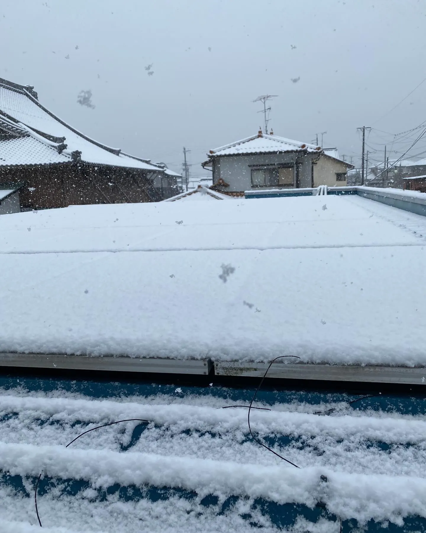 おはようございます❄️🌸春だと思ったら、今朝はなんと雪が降っ...