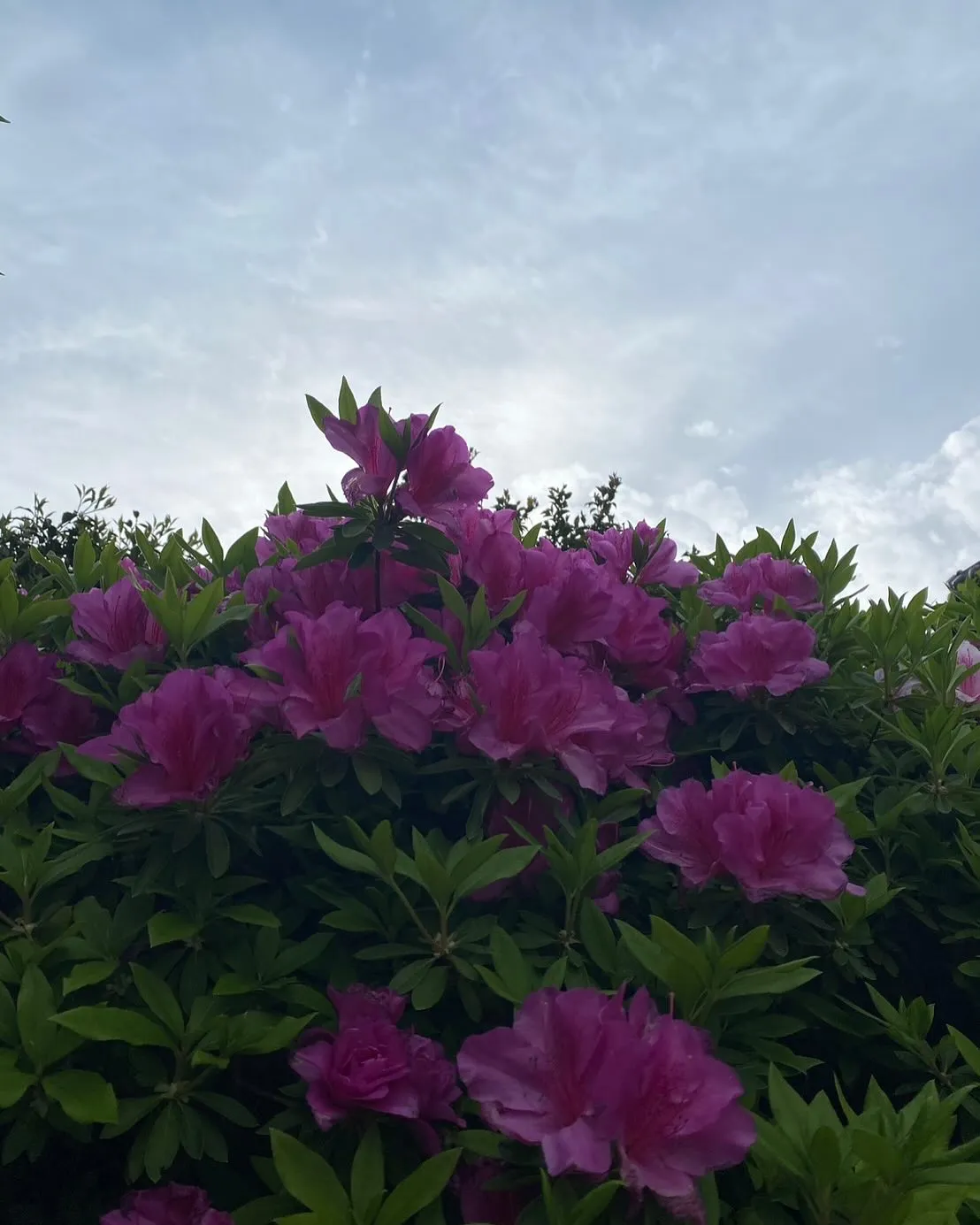 ゴールデンウィーク、みなさん楽しんでますか？✨🌸 この連休は...