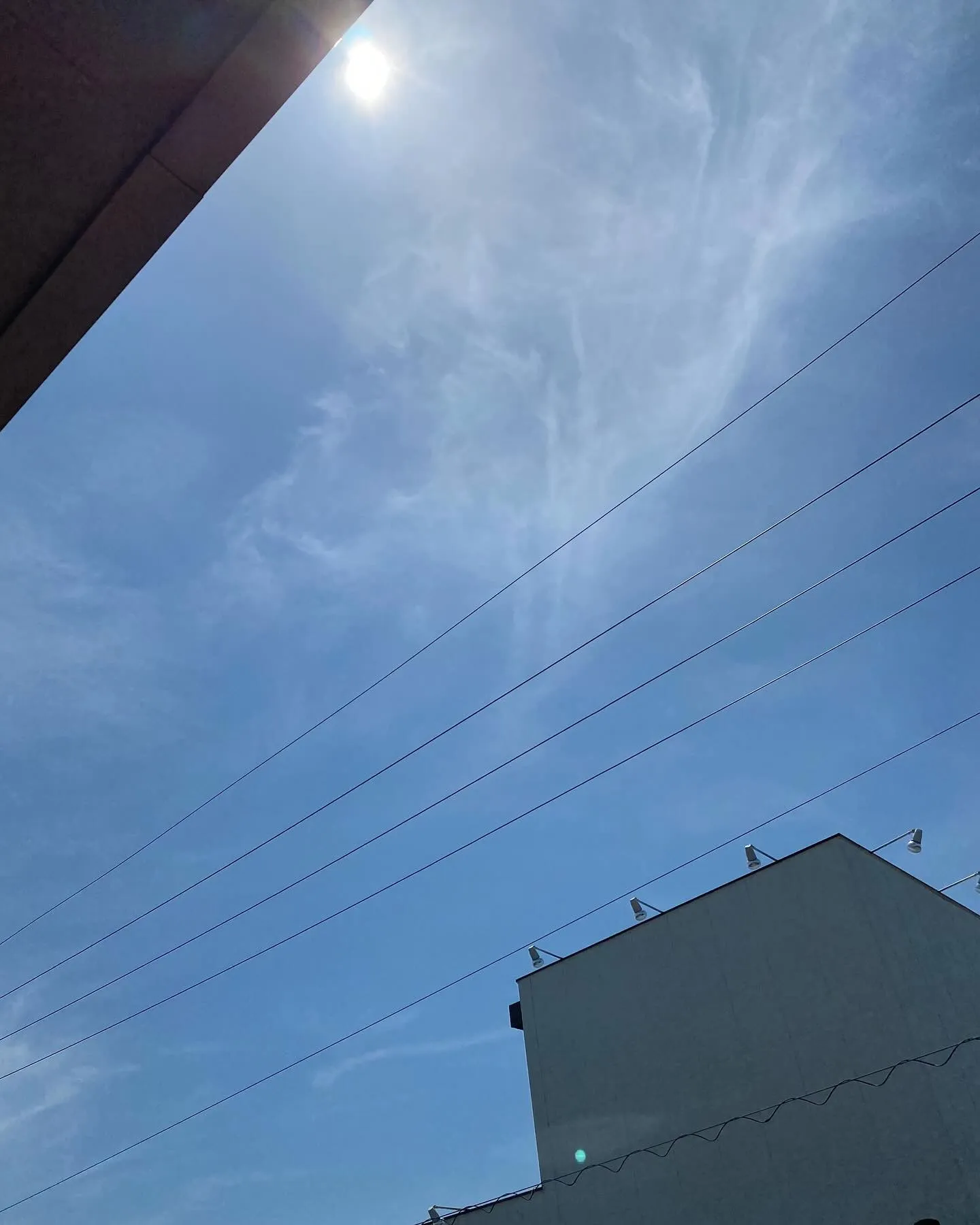 ６月なのに、この暑さ嫌になりますね🌞💦。