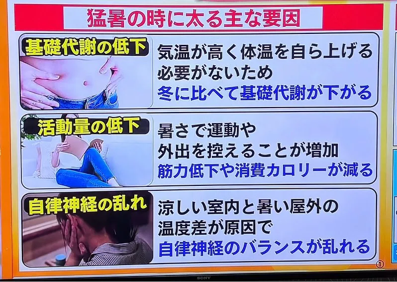 真夏にちょっと太っちゃう原因っていくつかあるよね🌞。